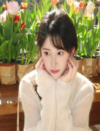 探索《兔子布莱尔》的奥秘：隐藏细节与深层意义